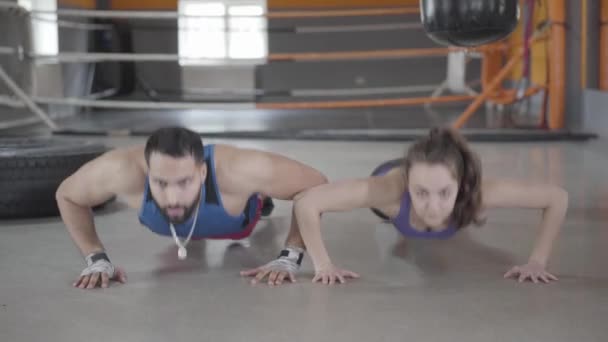 Vue de face de la jeune femme caucasienne et homme du Moyen-Orient poussant vers le haut dans la salle de gym. Portrait d'un sportif et d'une sportive faisant de l'exercice en club sportif ensemble. Mode de vie sain, endurance, entraînement sportif . — Video