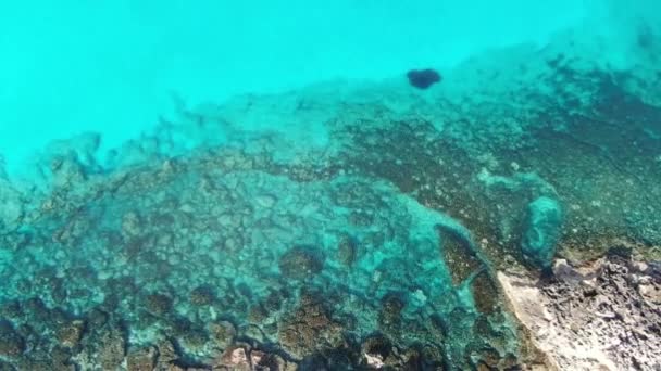 Drone vista del mar Mediterráneo turquesa transparente con costa rocosa. Vista aérea de olas cristalinas sobre piedras en el fondo del mar. Cámara se mueve hacia arriba. Naturaleza, paisaje marino, submarino, turismo, Chipre . — Vídeo de stock