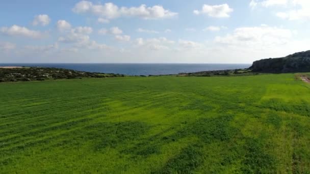 A câmera se move para a frente ao longo do prado verde para o lindo mar Mediterrâneo azul sob o céu ensolarado. Ampla paisagem tiro de majestoso resort Chipre. Beleza na natureza, turismo, paisagem marinha, meio ambiente . — Vídeo de Stock