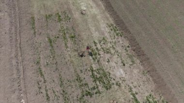Drone, banliyöde tarımsal alanda koşan sarışın beyaz çocuğu takip ediyor. Neşeli çocuğun güneşli bahar gününün tadını çıkardığı hava manzarası. Çocukluk, eğlence, mutluluk, yaşam tarzı..