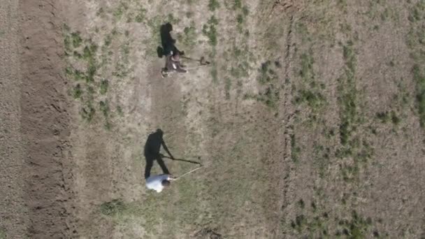 Widok z lotu ptaka na mężczyzn ścinających i grabiących trawę w słoneczny wiosenny dzień. Widok drona na dwóch białych chłopów pracujących na zewnątrz. Ogrodnictwo, sprzątanie, rolnictwo, styl życia. — Wideo stockowe