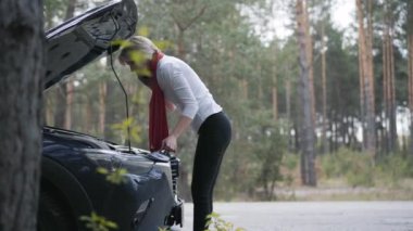 Telefonda tartışan sinirli sarışın kadın araba arızasını anlatıyor. Yan görüş geniş, gergin, kafkas sürücüsü açık araç kaputunun yanında bağırıyor ve el kol hareketi yapıyor..