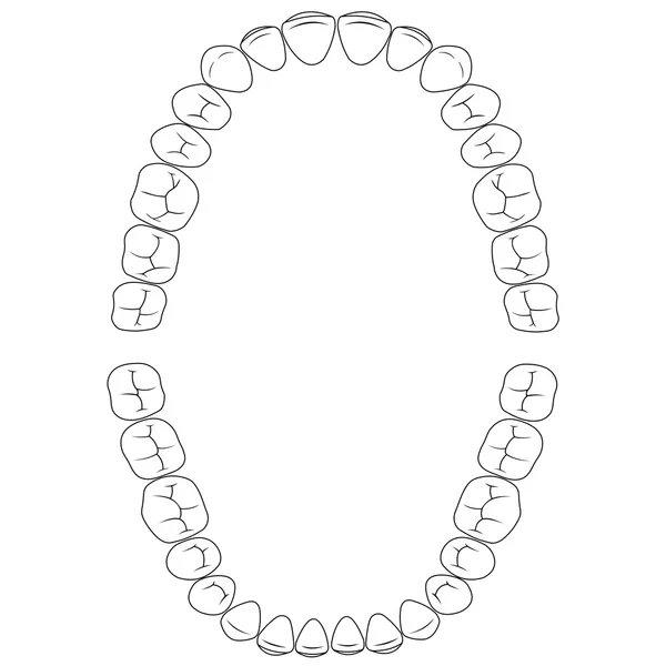 Conjunto de fissuras dentes —  Vetores de Stock