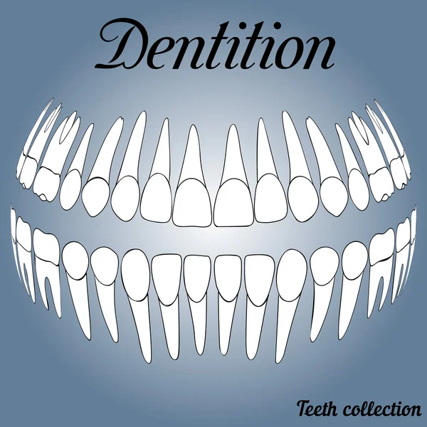 Registros dentales 3D — Vector de stock