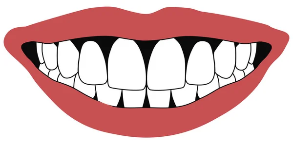 Lips front teeth — Stock Vector
