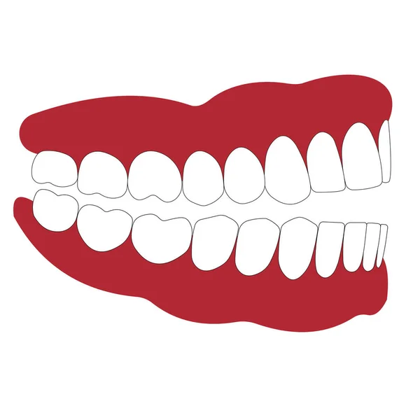 Offener Mund statt geschlossene Zähne — Stockvektor