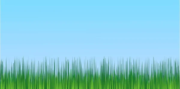 Juicy green grass blue sky background — Stock Vector