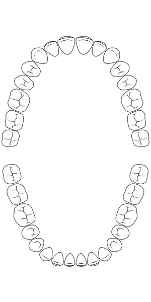 Dente gráfico de dentes — Vetor de Stock