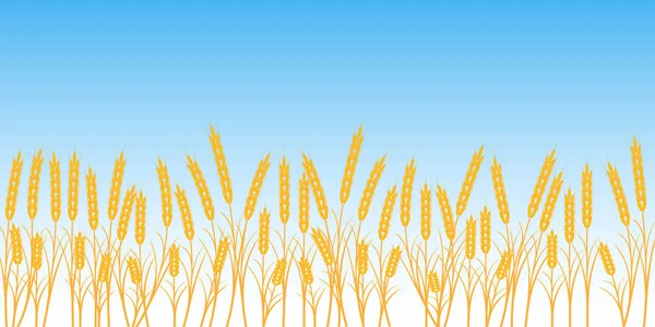 Champ de blé bannière sur fond bleu ciel — Image vectorielle