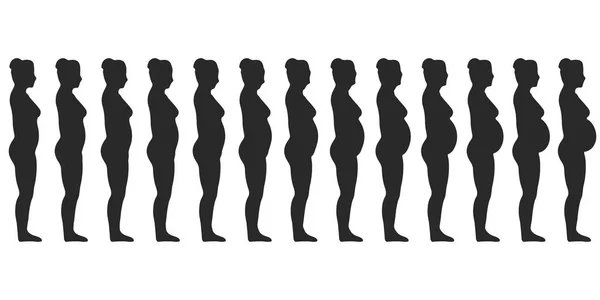 Conjunto de silueta de una mujer embarazada, Cambios en el cuerpo de una mujer durante el embarazo — Archivo Imágenes Vectoriales