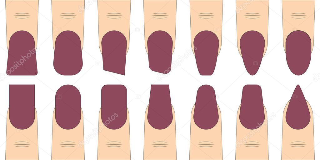 set nail shape vector fashion trends in manicure, fingers with different nail shape sample for manicure salon