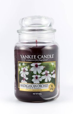 Madagaskar orkide beyaz bir arka plan üzerine de yankee Mum kokulu.