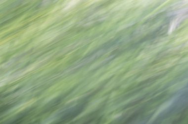 Bulanık soyut arka plan. Yeşil mor ve beyaz.