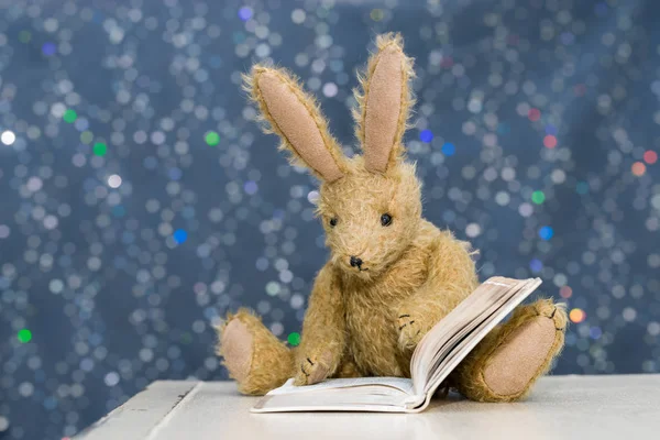 Niedliche Kinderspielzeug-Kaninchen lesen zur Storytime. — Stockfoto