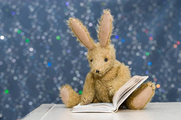 Tatlı çocuğun oyuncak tavşan Storytime okuma.