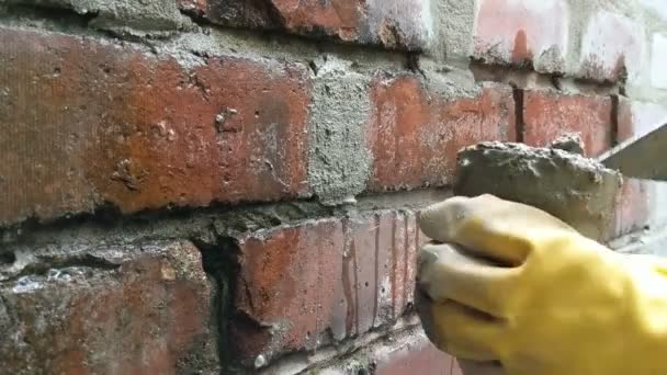 Time lapse of woman pointing brick wall with mortar. — Stockvideo