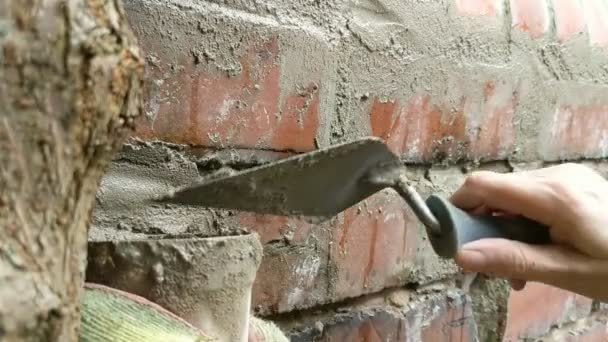 모르타르로 벽돌 벽을 가리키는 여자의 근접 사진. — 비디오
