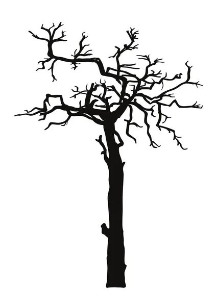 Silueta negra viejo árbol torcido sin hojas — Vector de stock