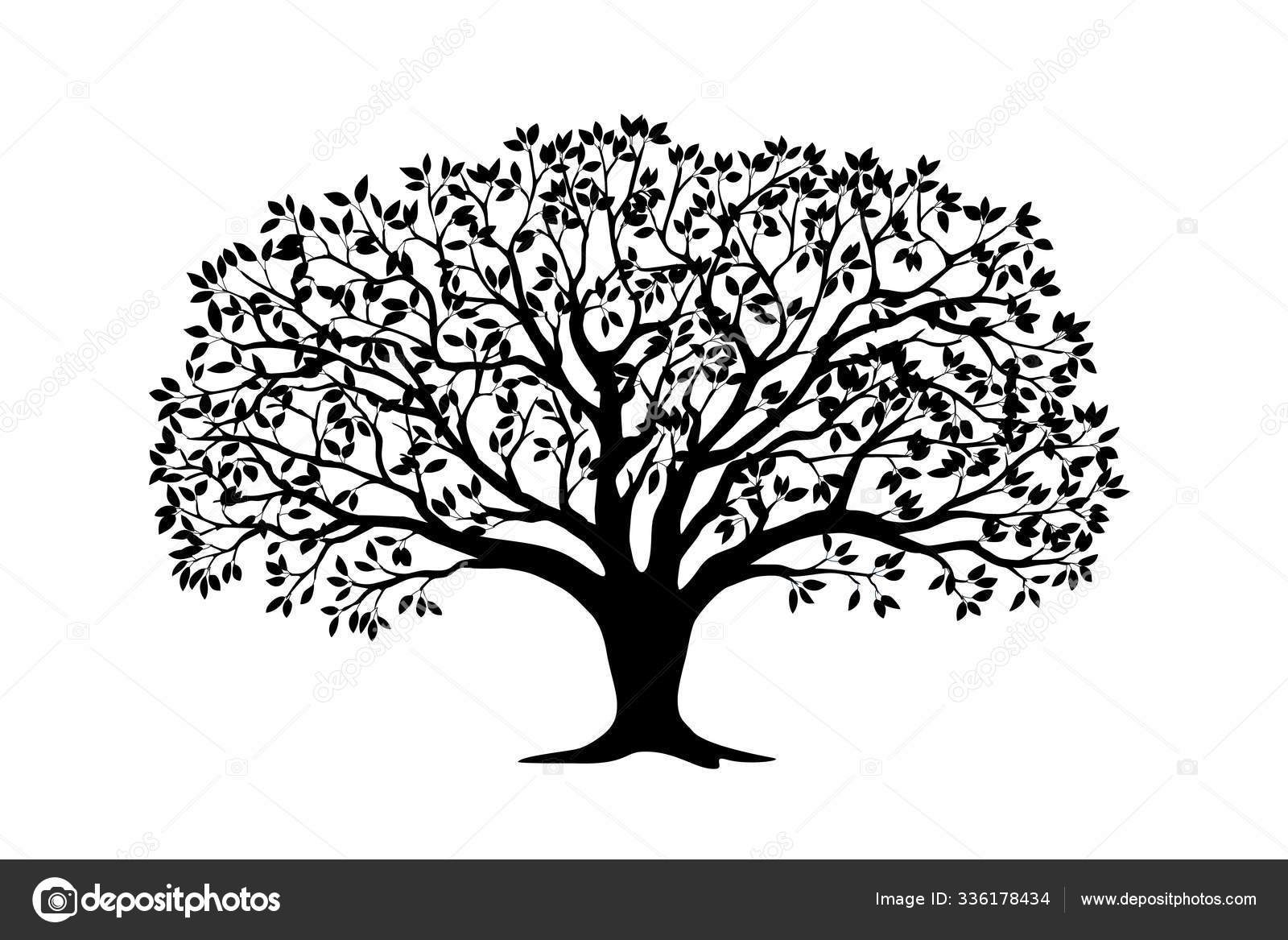 Black Silhouette Apple Tree With Leaves Stock Vector Image By C Sliplee Black Silhouette Apple Tree With Leaves Stock Vector Image By C Sliplee