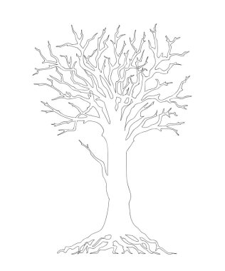 Yapraksız ağaç siyah çizgili 
