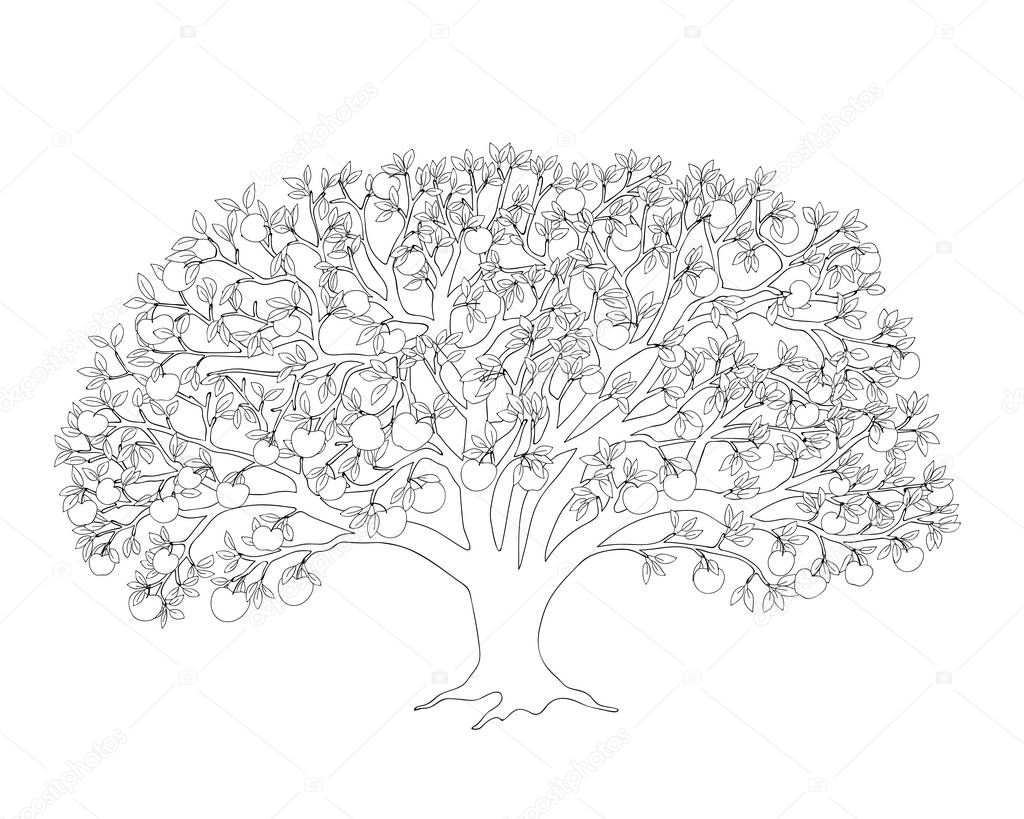 Outline illustration apple tree with leaves and apples for adult or kid coloring book, tutorials. Home art print, decorating wall, logo, Earth Day flyer design. Isolated on white background. eps 10