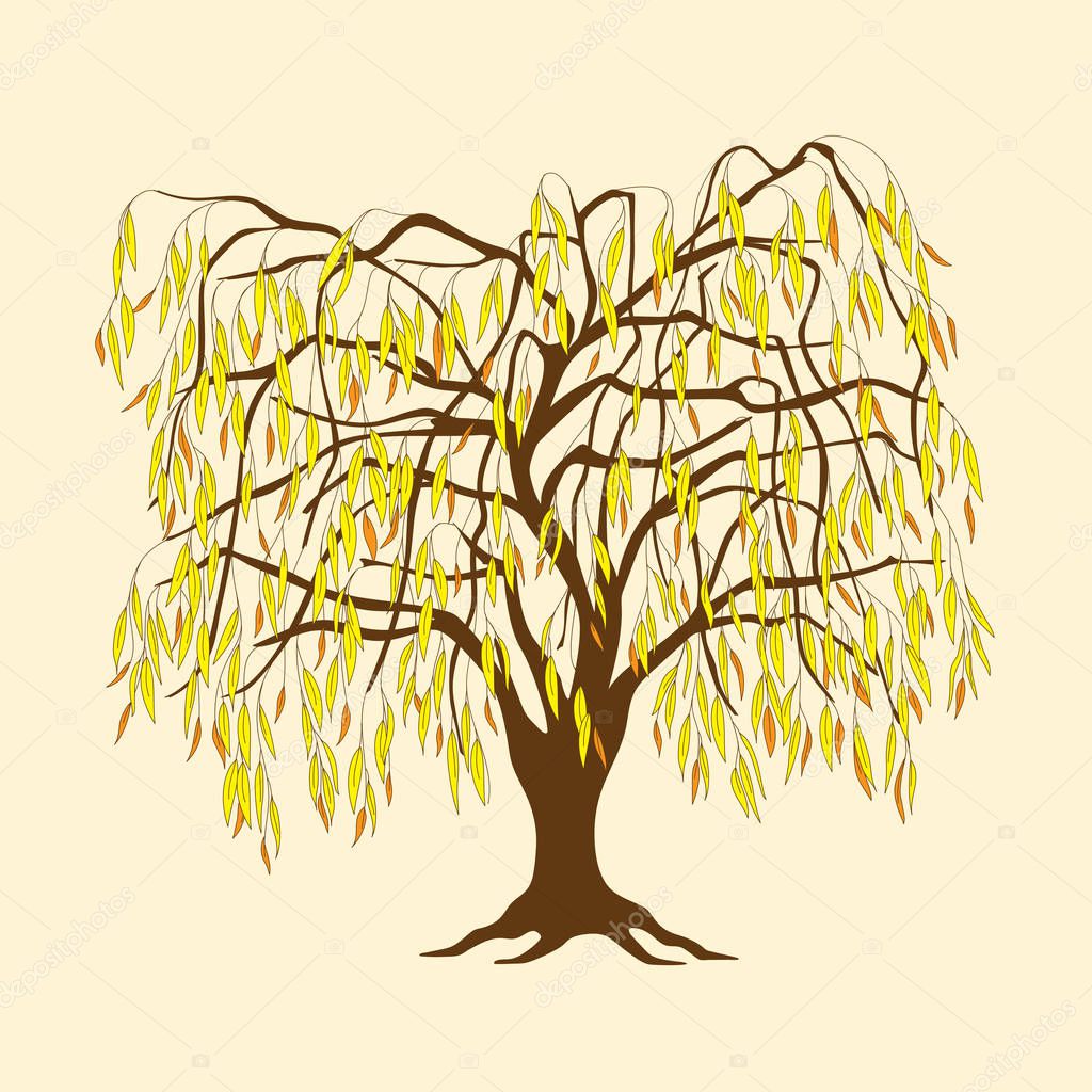 Vector illustration willow tree with yellow and orange leaves. Icon tree isolated on beige background. Template for tattoo,  engraving, t-shirt print, home art, decorate wall, logo, label and Earth Day flyer design. eps 1