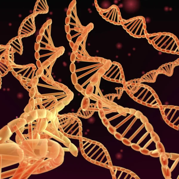 DNA - bina blokları hayat