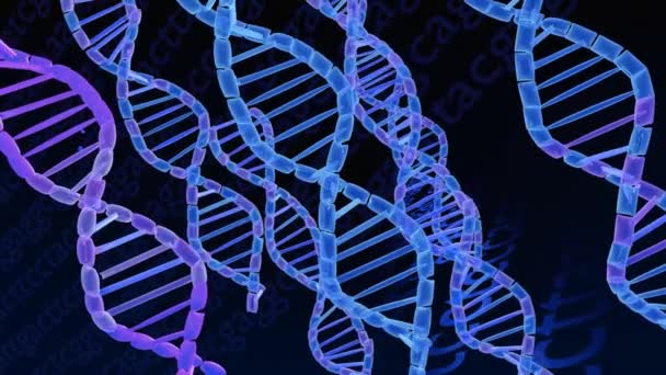 Animazione Helix DNA — Video Stock