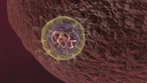 Covid 바이러스의 애니메이션이 Rna 주입하여 세포를 함으로써 복제한다 — 비디오