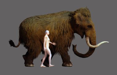 A 3D illustration of a Woolly Mammoth and an average sized human in a side by side comparison. clipart