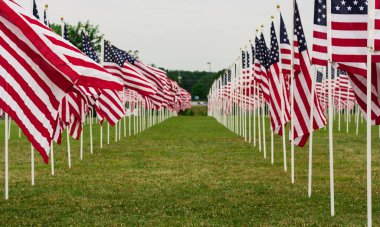 Amerikan Alan Memorial günü bayrakları