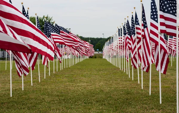 Американський поле прапорів в день пам'яті — стокове фото