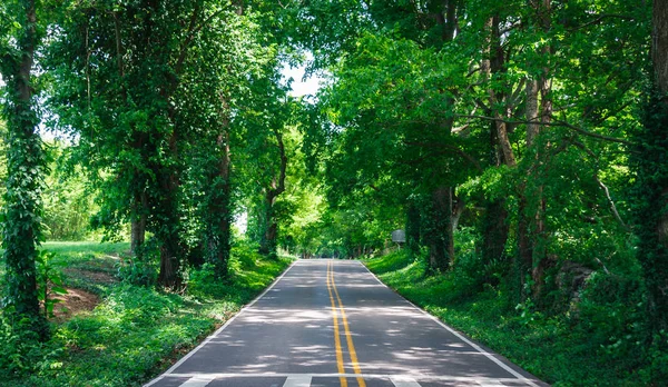 Yalnız ülkede yol yaz