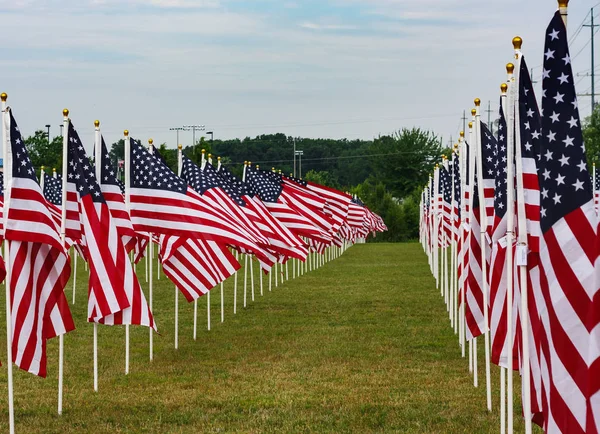 American Field of Flags on Memorial Day — Stock Photo, Image