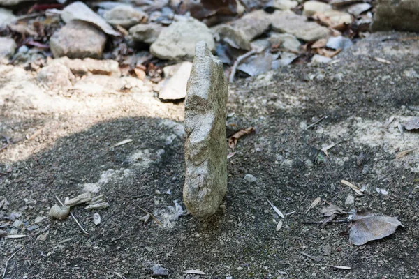 Taş kuru nehir yatağında ayakta