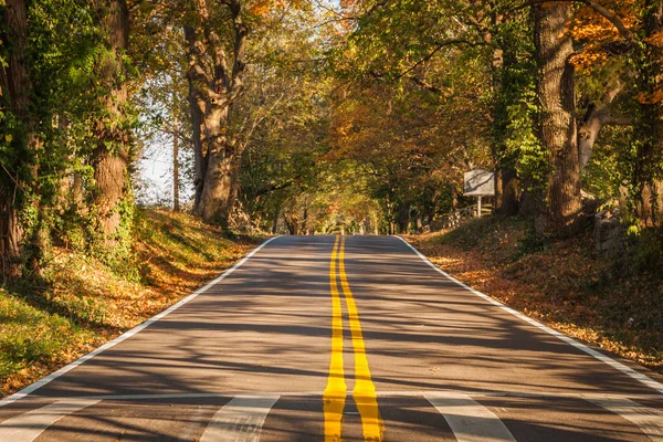 Sonbahar yalnız ülkede yol