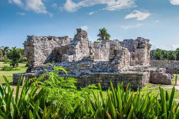 Tulum, Meksika, harap Tapınak