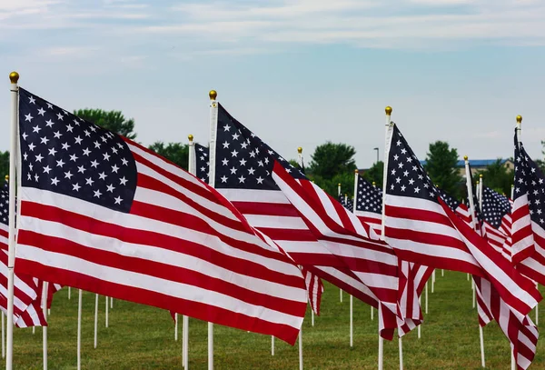 Campo Americano de Banderas en el Día de los Caídos Fotos De Stock Sin Royalties Gratis
