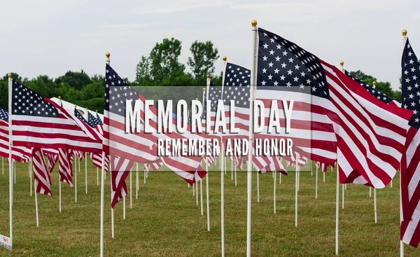 Campo Americano de Banderas en el Día de los Caídos Imagen De Stock