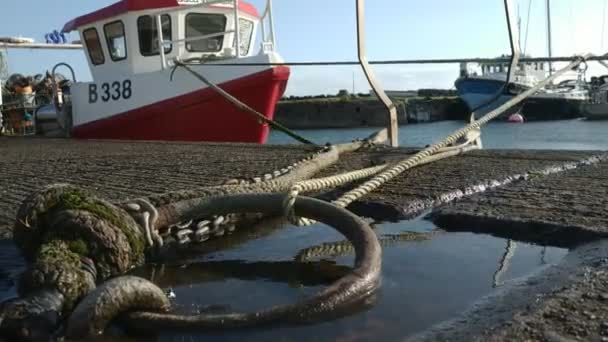 Vista Casuale Sulla Glenarm Marina Sole Irlanda Del Nord — Video Stock