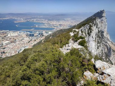 Güneşli yaz havasında Cebelitarık ve Büyük Kaya 'da panoramik manzaralı bir maymun.