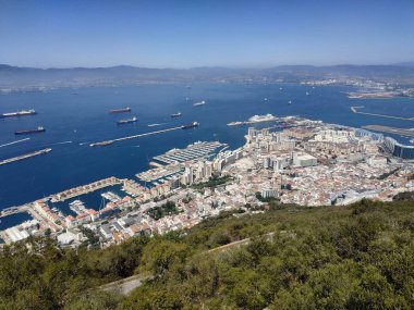 Güneşli yaz havasında Cebelitarık ve Büyük Kaya 'da panoramik manzaralı bir maymun.