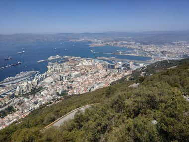 Güneşli yaz havasında Cebelitarık ve Büyük Kaya 'da panoramik manzaralı bir maymun.
