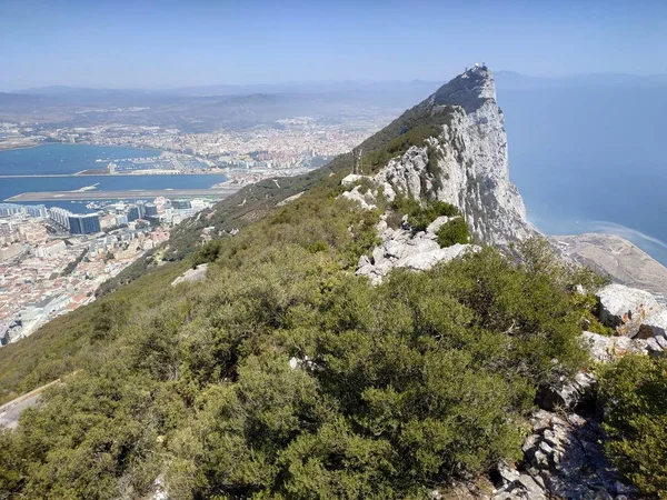 Güneşli yaz havasında Cebelitarık ve Büyük Kaya 'da panoramik manzaralı bir maymun.