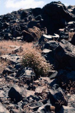 Yunanistan 'da güneşli bir havada Santorini adası yakınlarındaki Nea Kameni volkanı adasına bakın