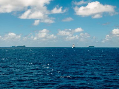 Bimini, Bahamalar - 19 Mart 2020: güneşli havada okyanusta karantina altında seyahat gemileri