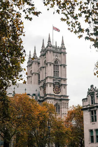 Лондон Великобритания Ноября 2020 Вид Вестминстерский Дворец Пасмурную Погоду — стоковое фото