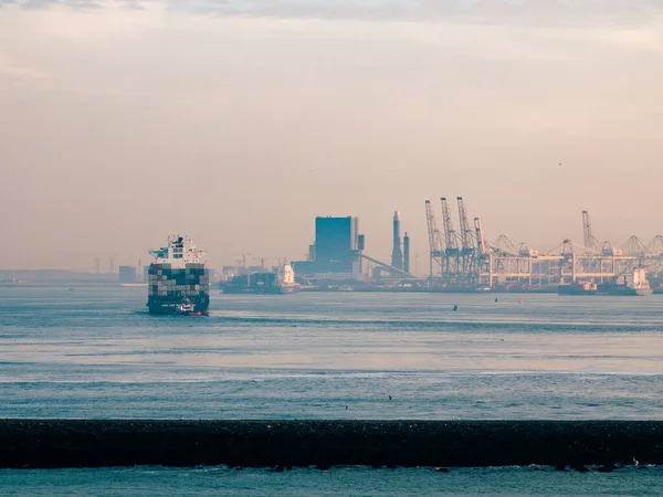 オランダのロッテルダム 2020年5月8日 クルーズ船からの貨物ポートビルインフラストラクチャの夕景 — ストック写真