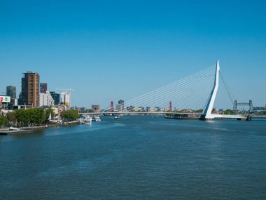 Rotterdam, Hollanda - 07 Mayıs 2020: yolcu gemisinin kargo limanı altyapısı