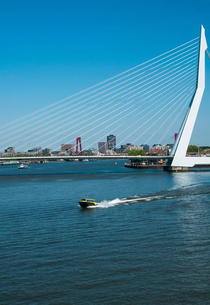 Rotterdam Hollanda Mayıs 2020 Yolcu Gemisinin Kargo Limanı Altyapısı — Stok fotoğraf